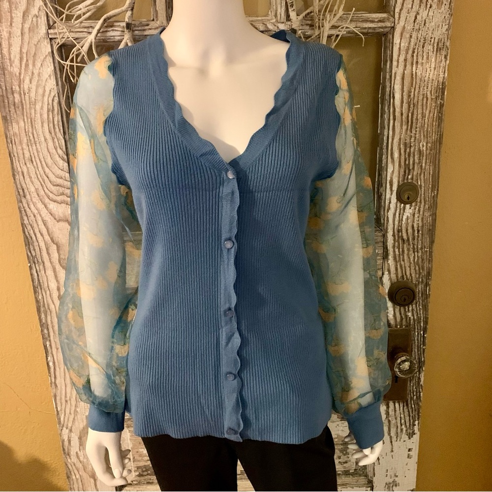 Sioni V-Neck Sweater with Sheer Sleeves